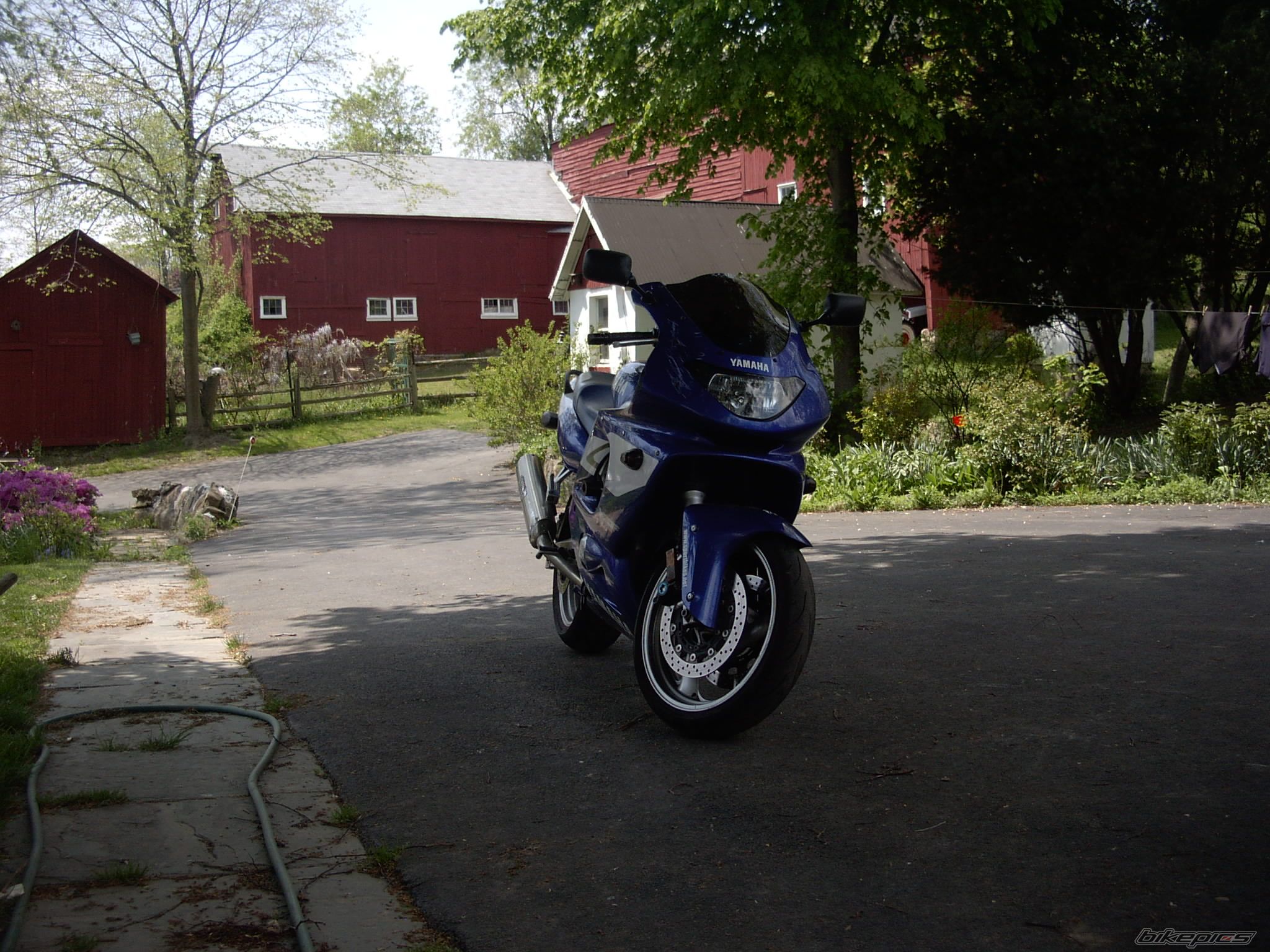 Photo 1295417