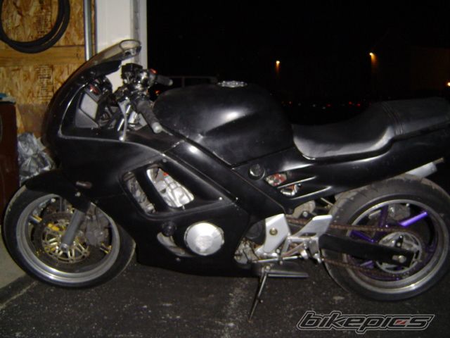 Photo 1295441
