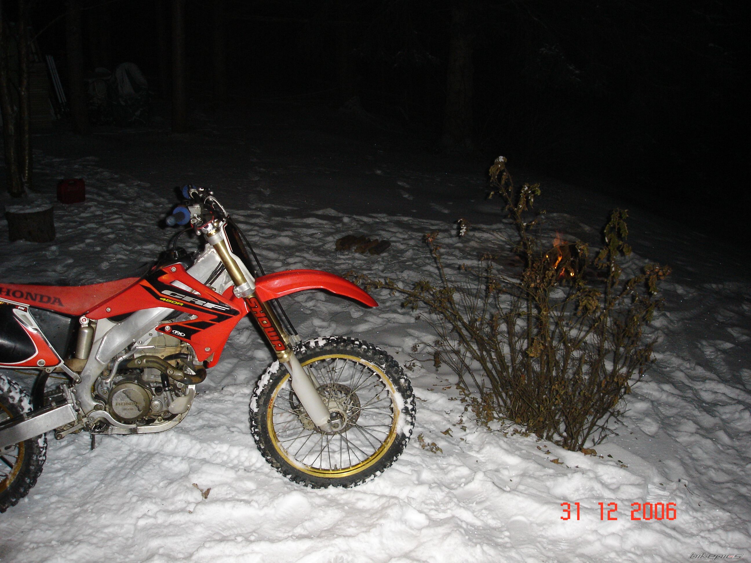 Photo 1295460