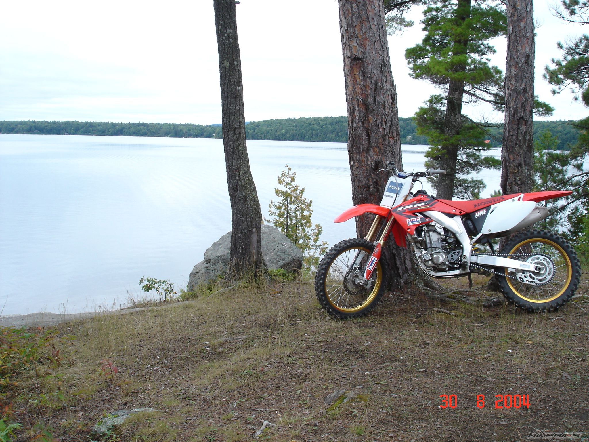 Photo 1295466