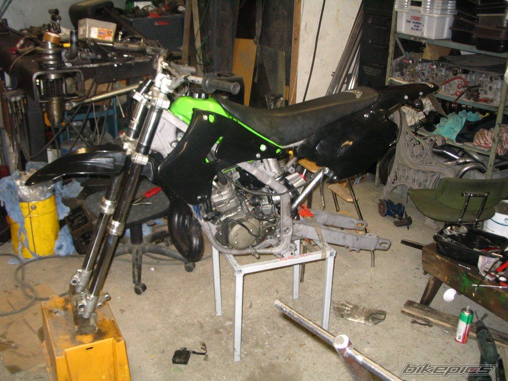 Photo 1295468