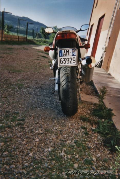 Photo 12955