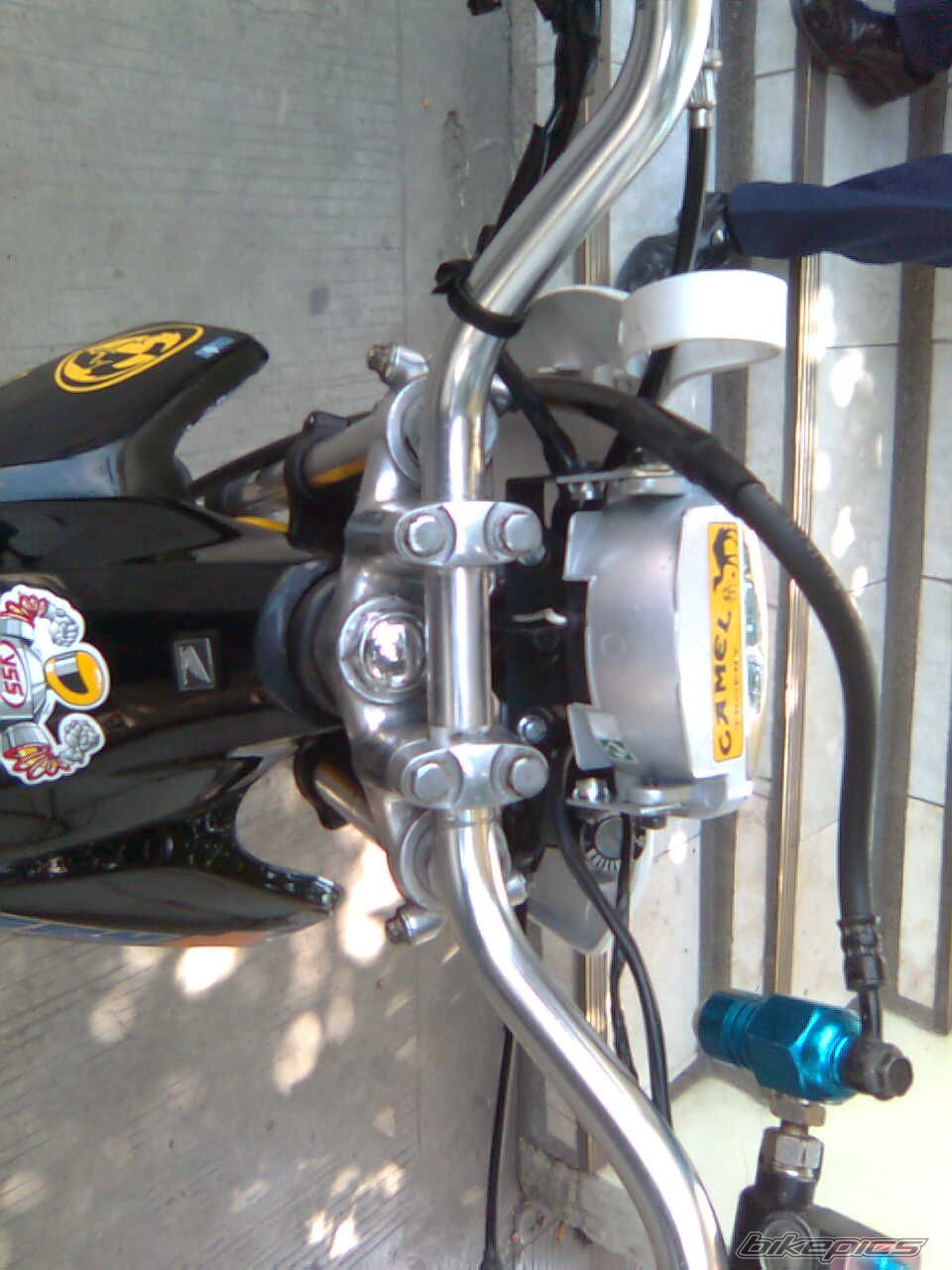 Photo 1295548