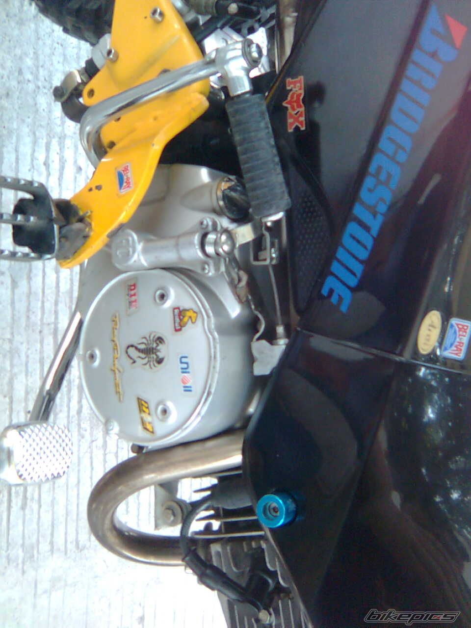 Photo 1295557
