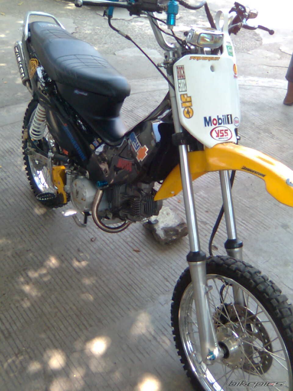 Photo 1295565