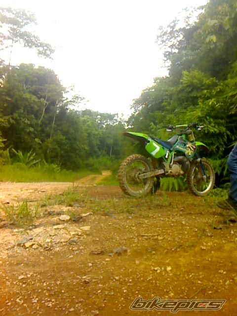 Photo 1295569