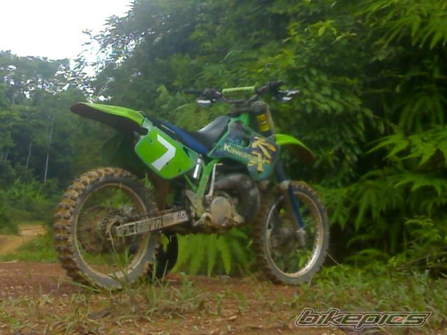 Photo 1295571