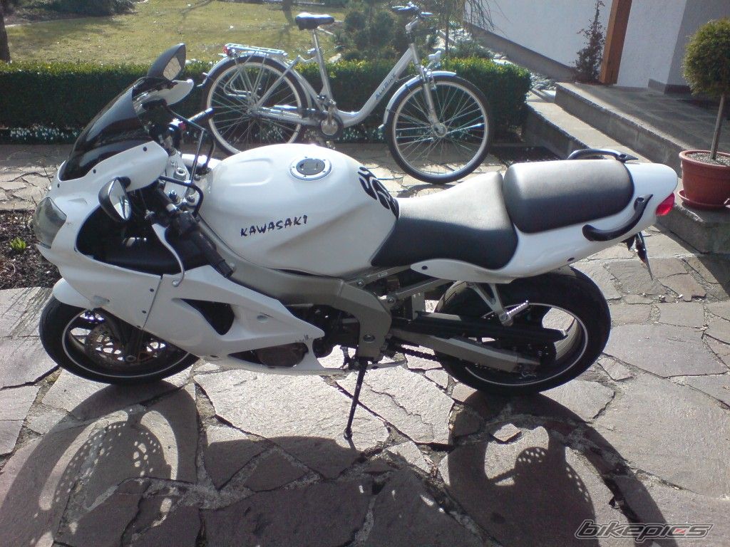 Photo 1295594