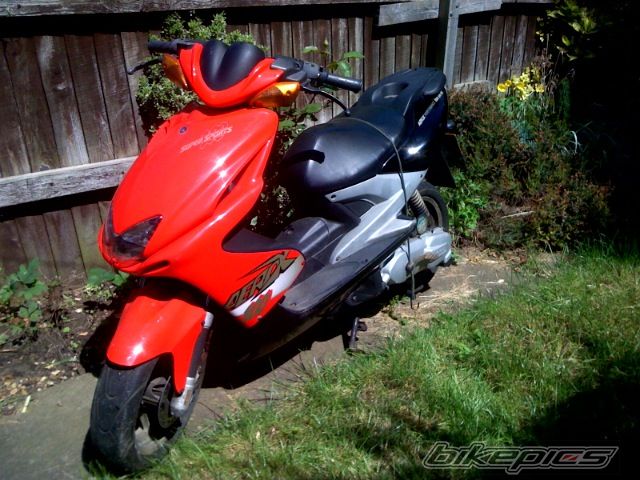 Photo 1295601