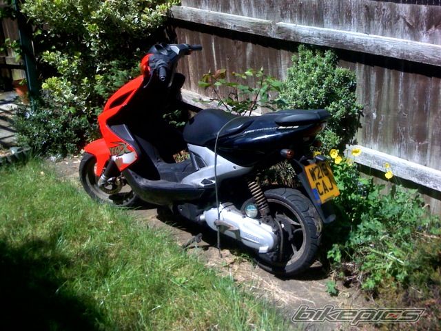 Photo 1295604
