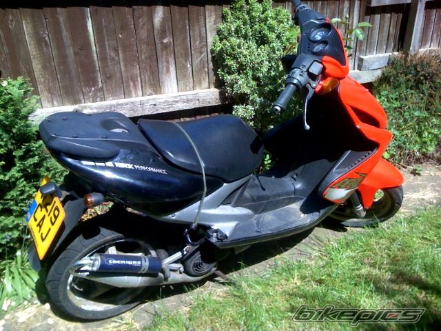 Photo 1295607