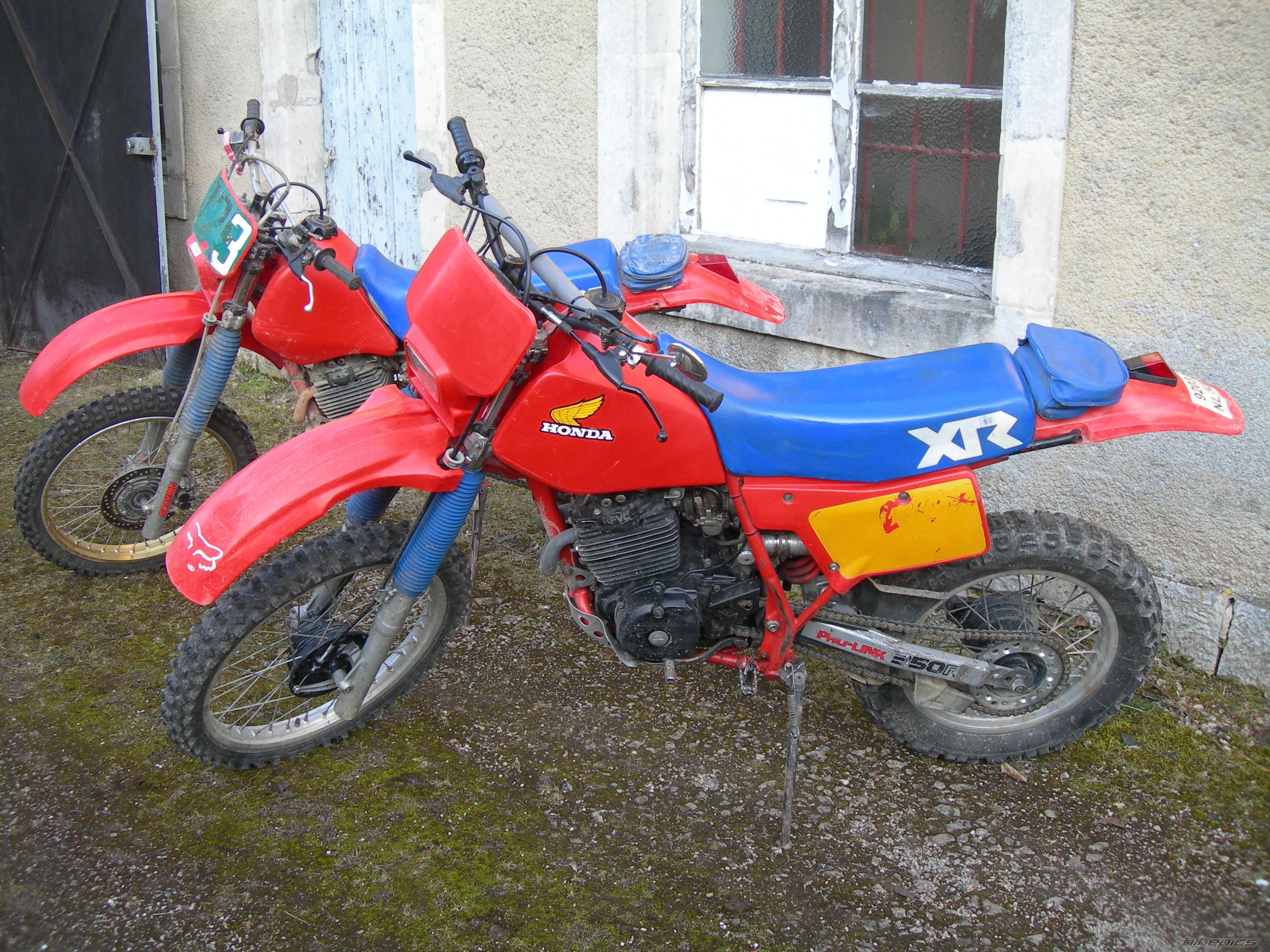 Photo 1295610