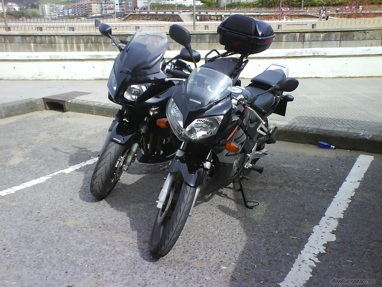Photo 1295695
