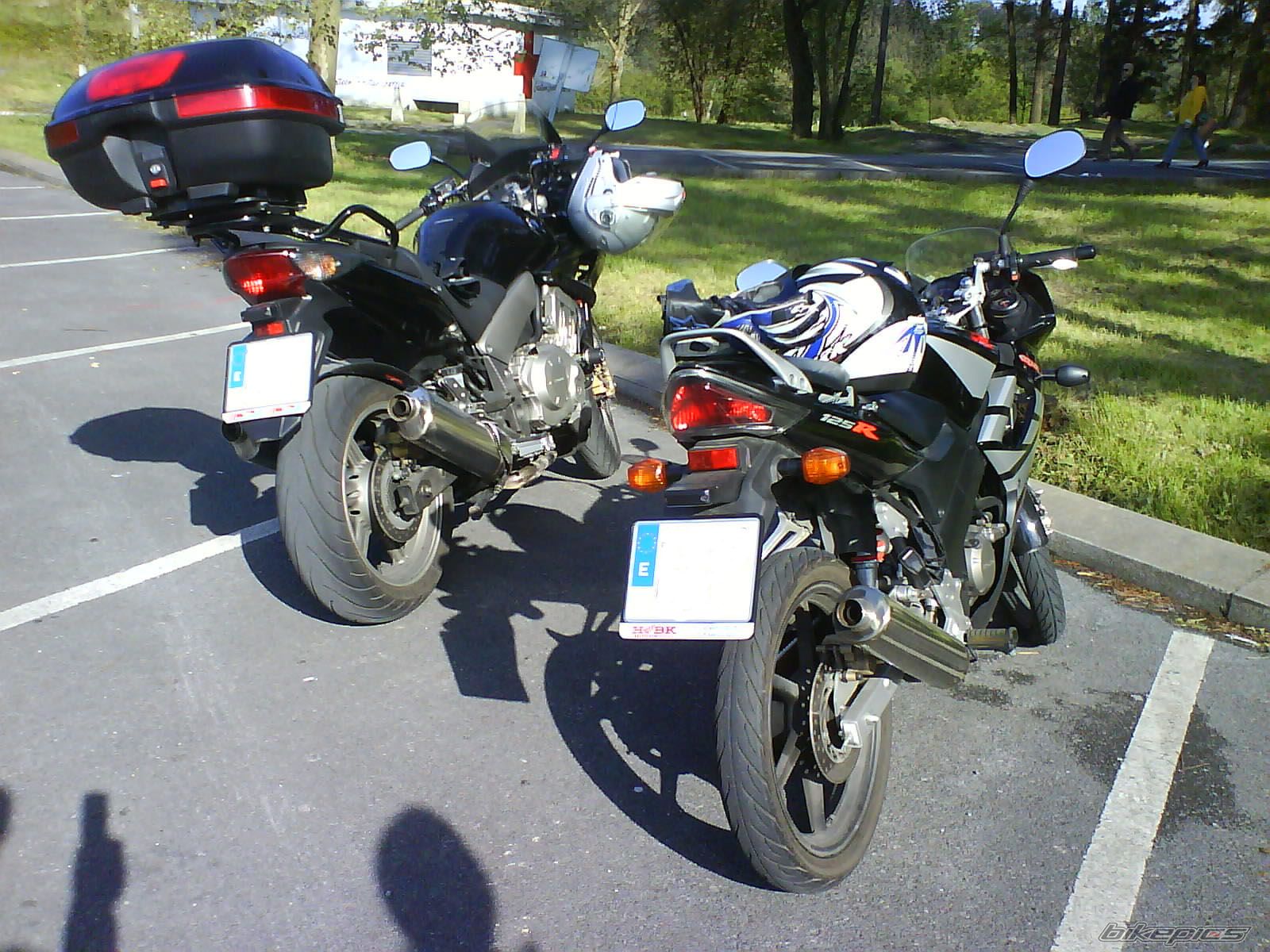 Photo 1295704