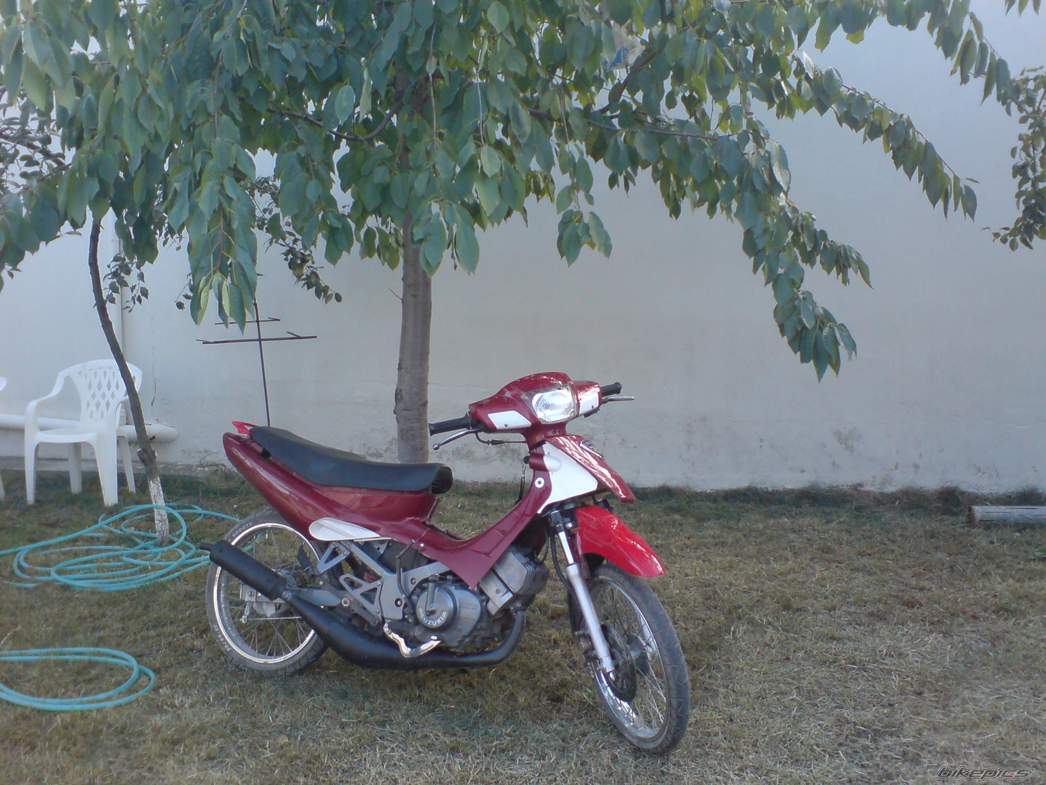Photo 1295755