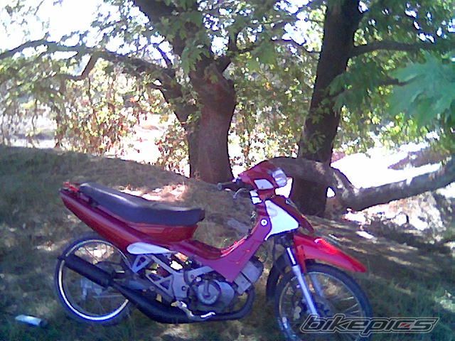 Photo 1295762