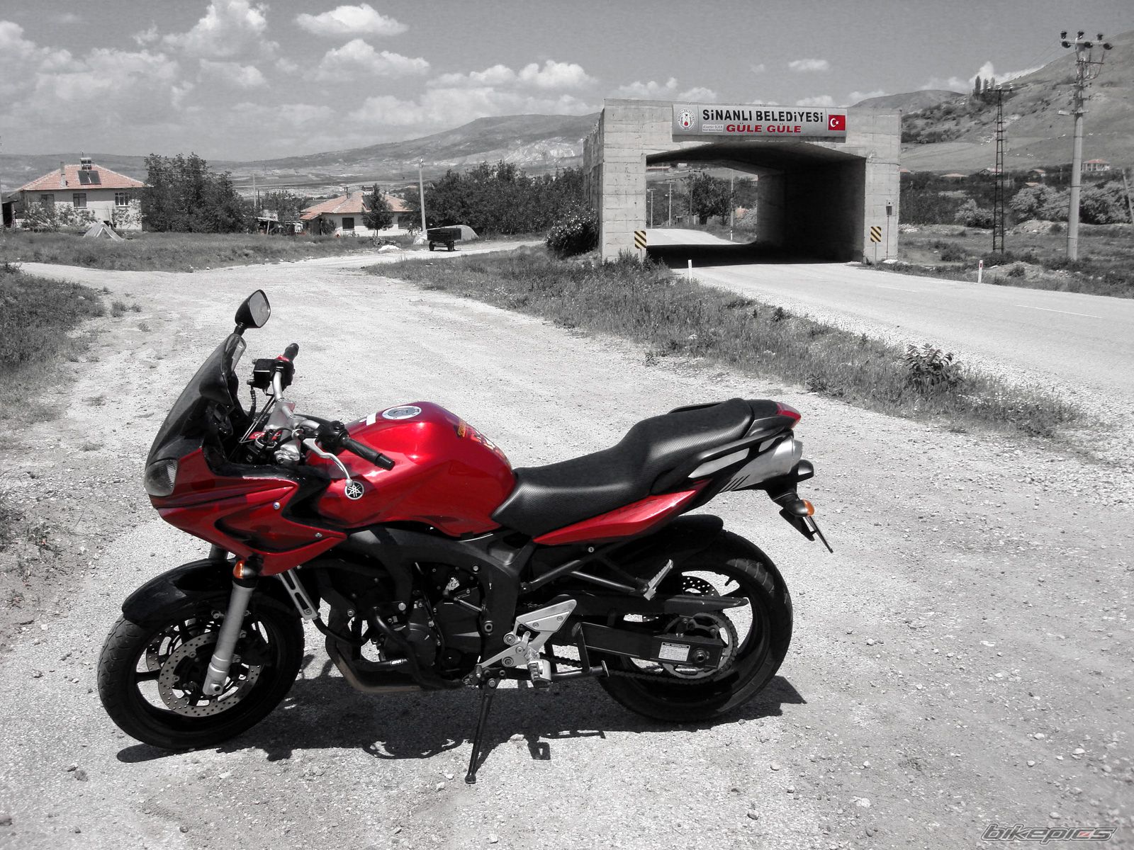 Photo 1295779