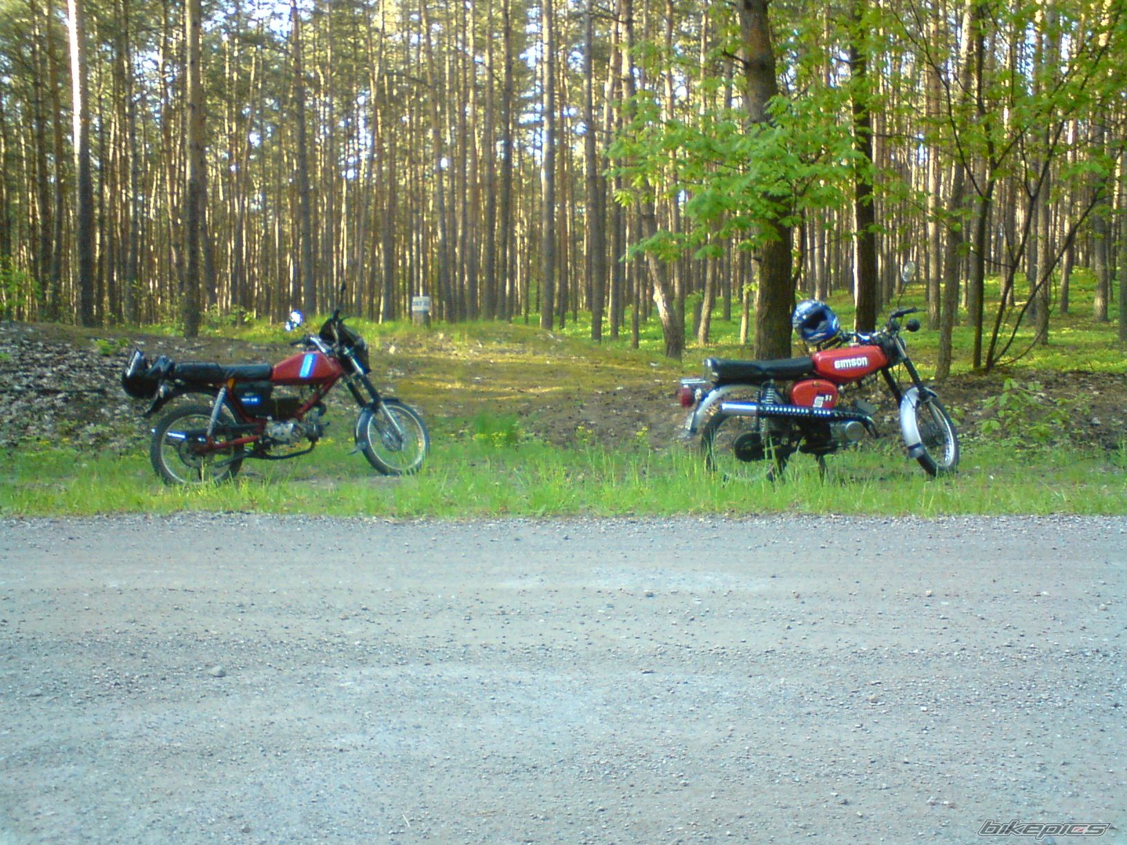 Photo 1295782