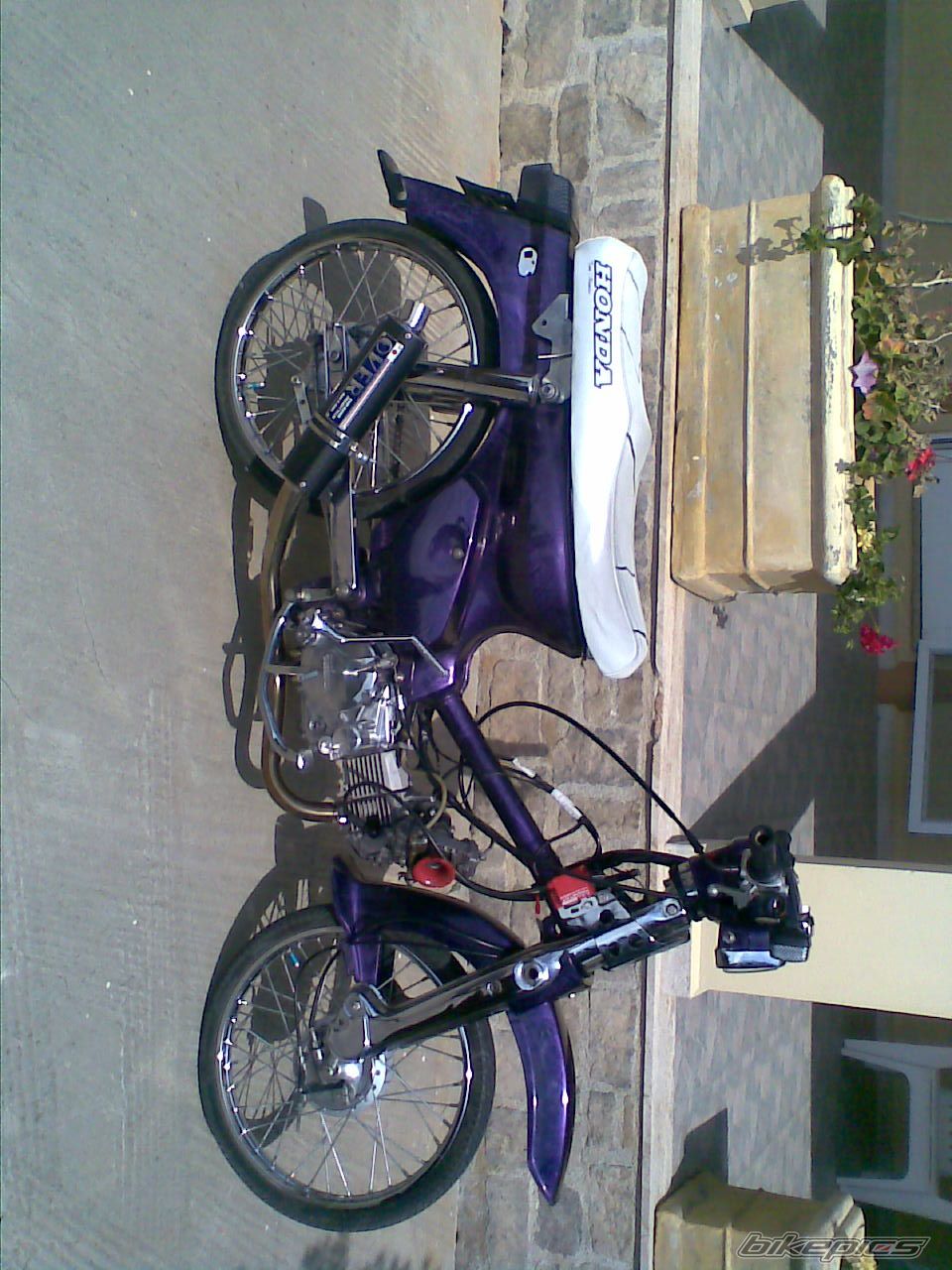 Photo 1295796