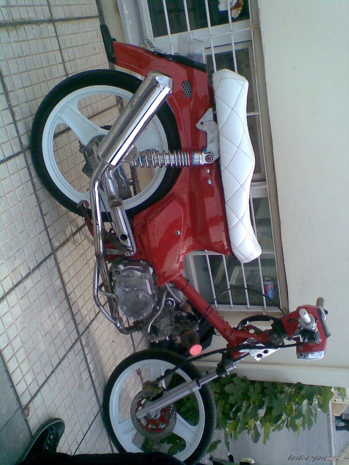 Photo 1295797