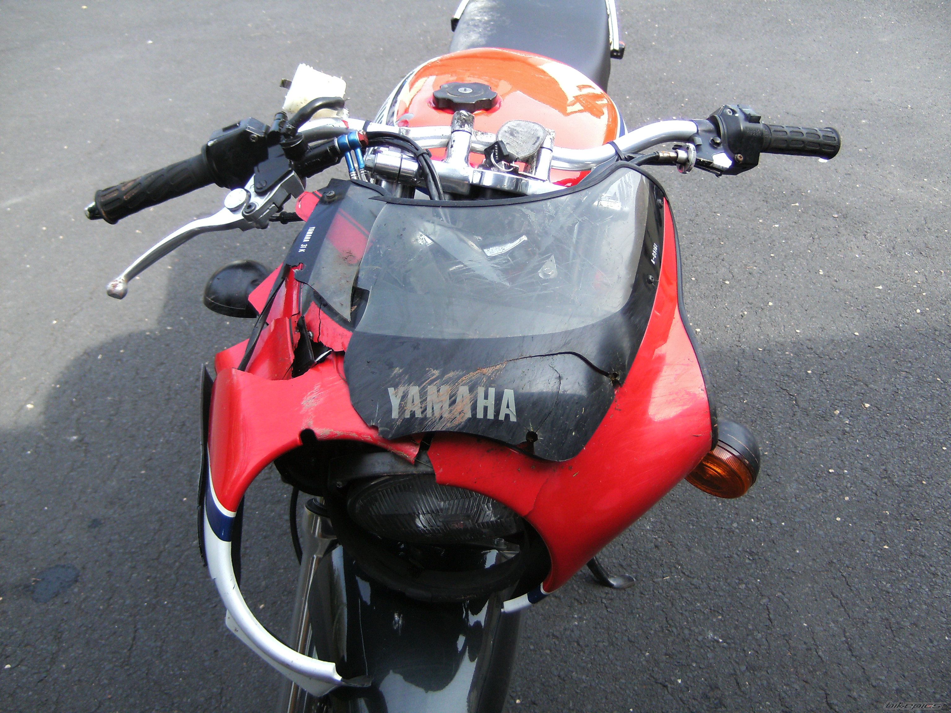 Photo 1295799