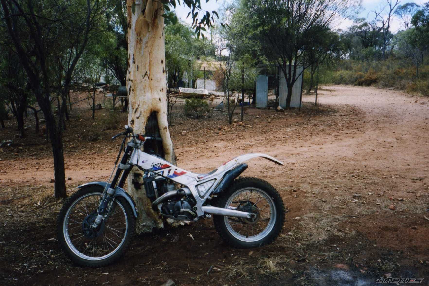 Photo 1295847