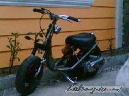 Photo 1295878