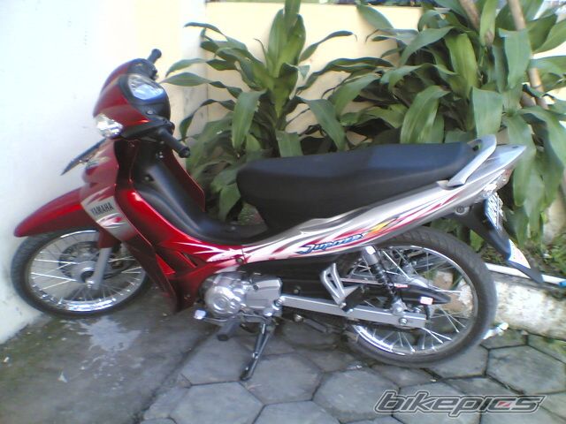 Photo 1295883