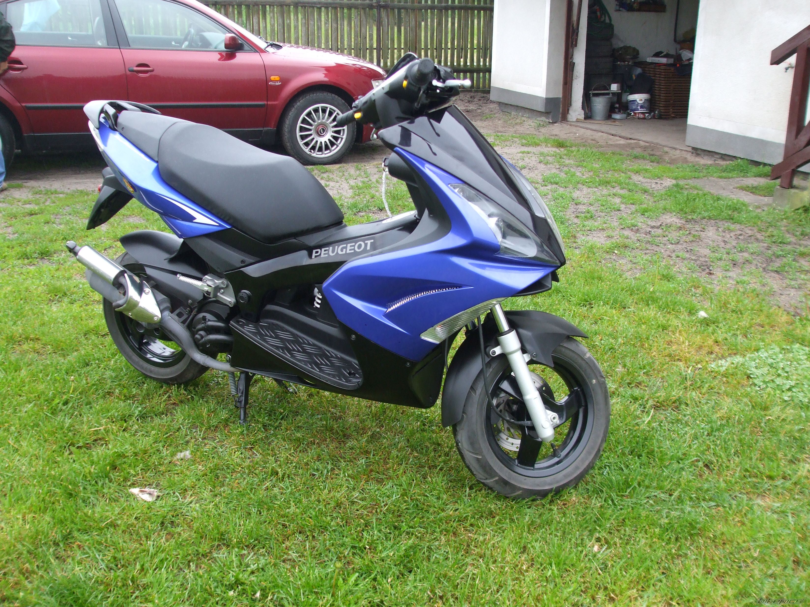 Photo 1295905