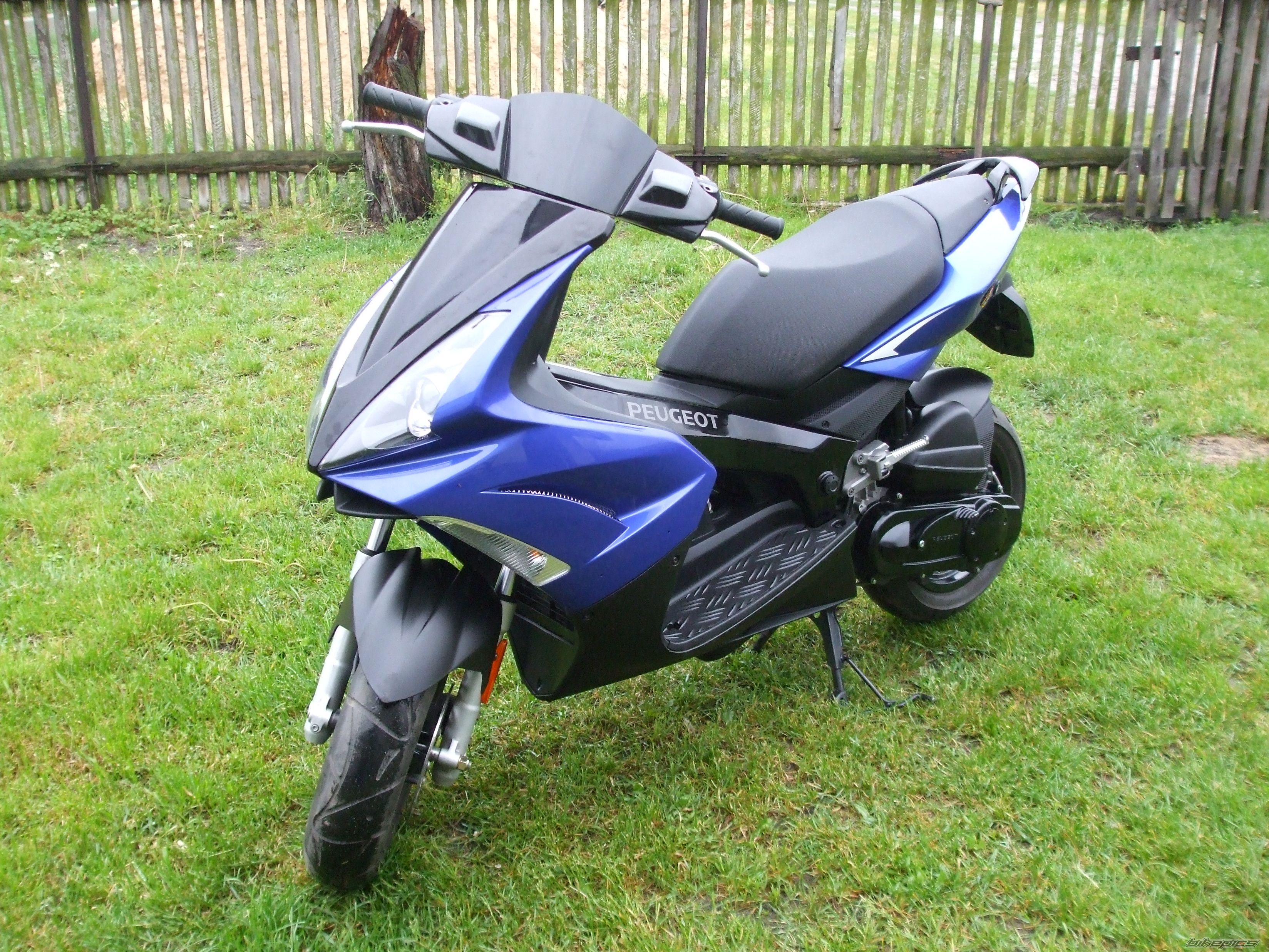 Photo 1295907