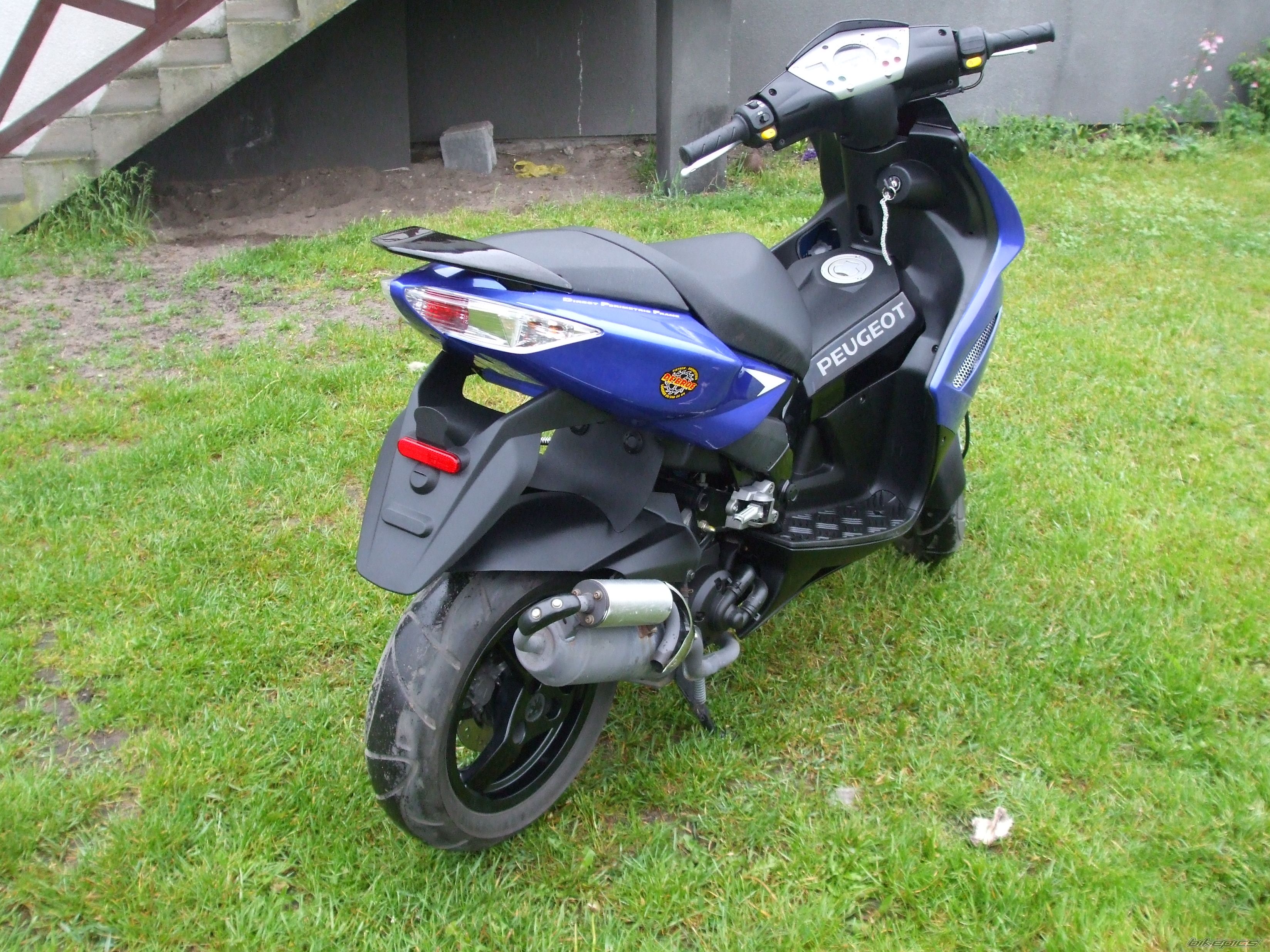 Photo 1295920