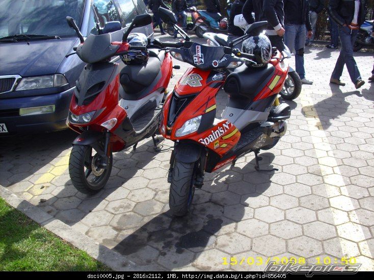 Photo 1295923