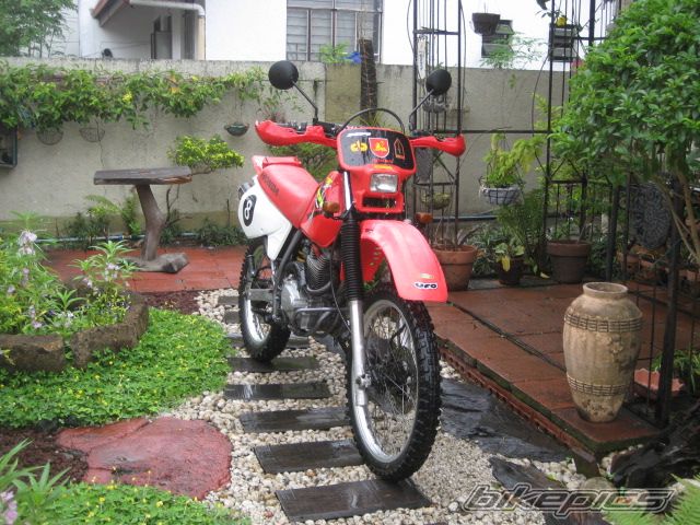 Bike Photo 1295957