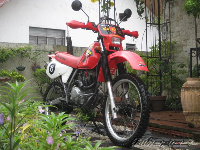 Bike Photo 1295958