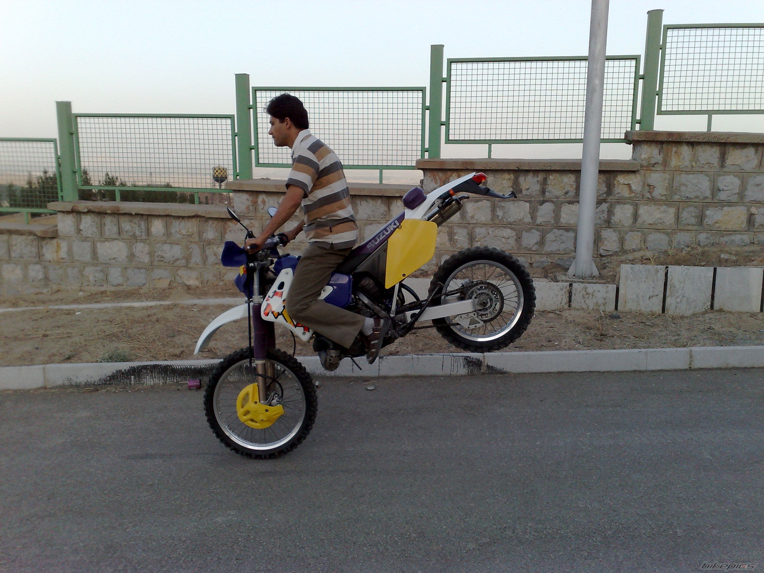 Photo 1295979