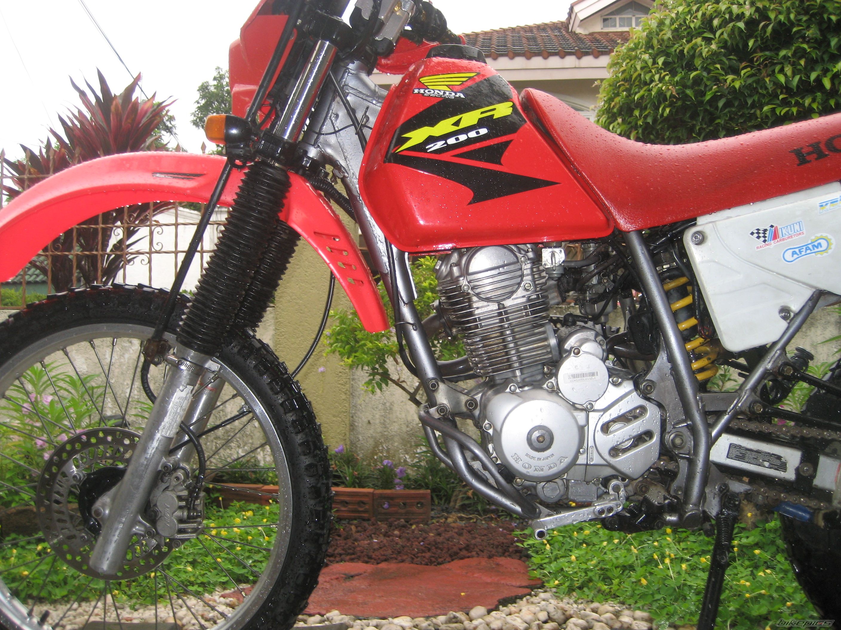Bike Photo 1295988