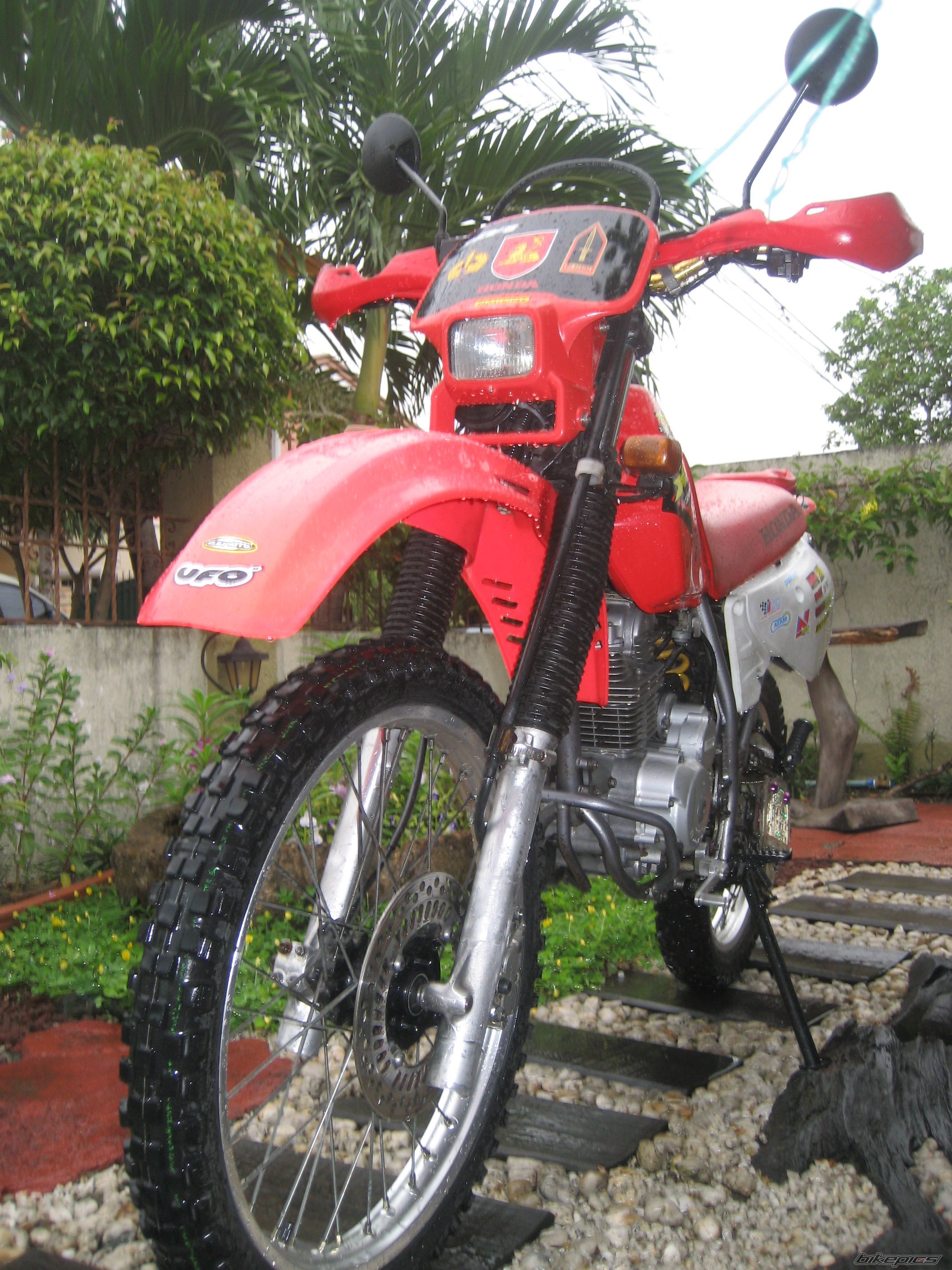Bike Photo 1295992