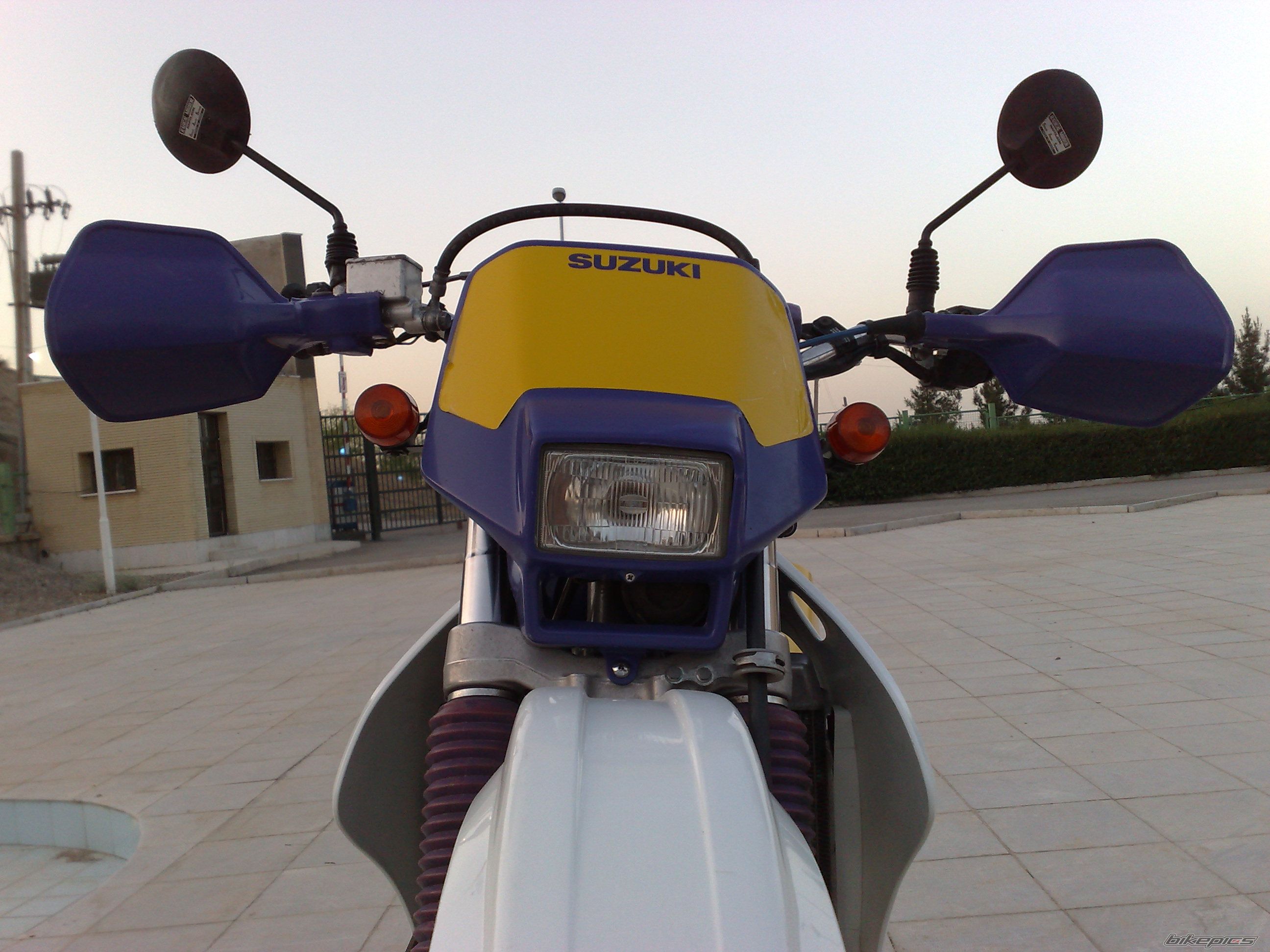Photo 1295993
