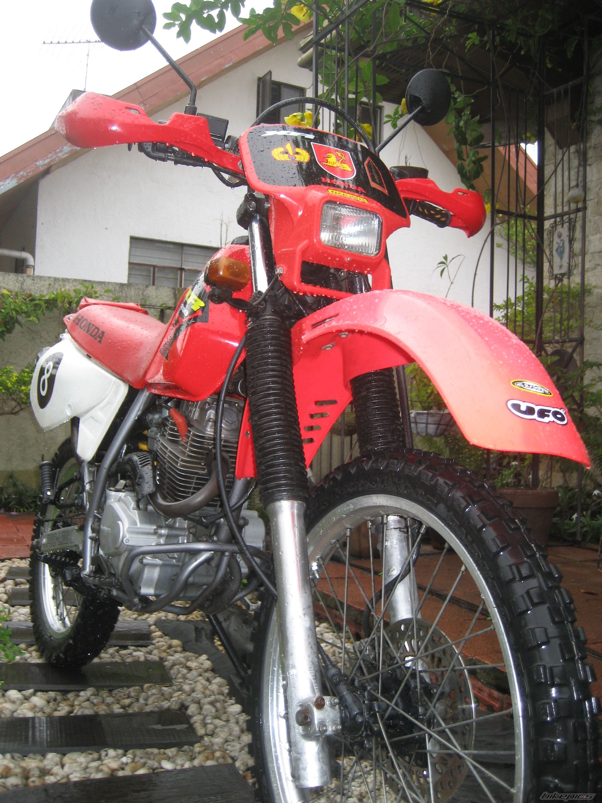 Bike Photo 1295994