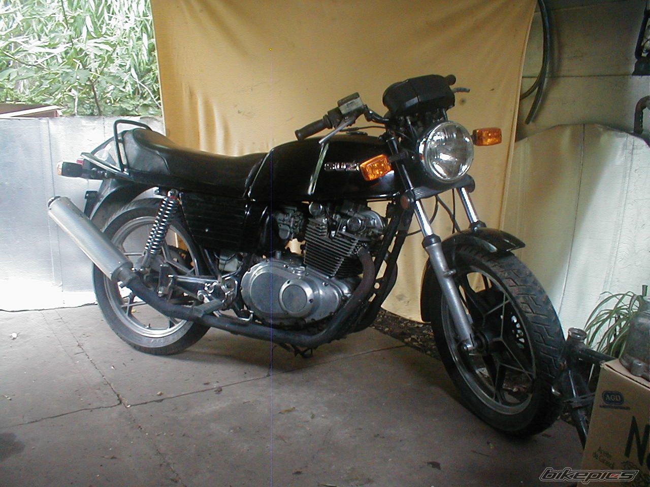 Photo 1296009