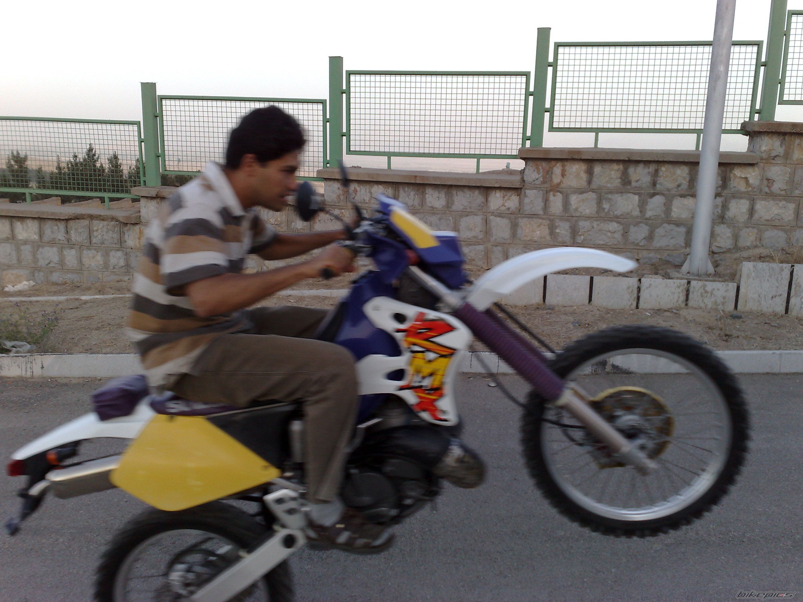 Photo 1296031