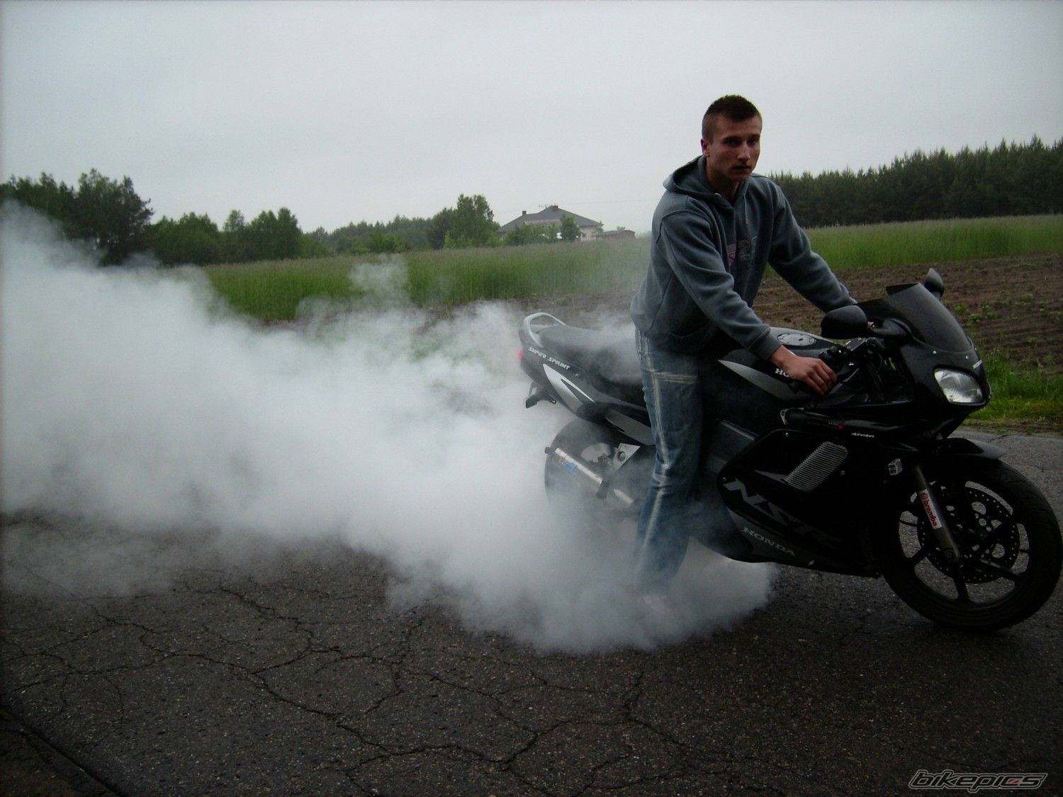 Photo 1296037