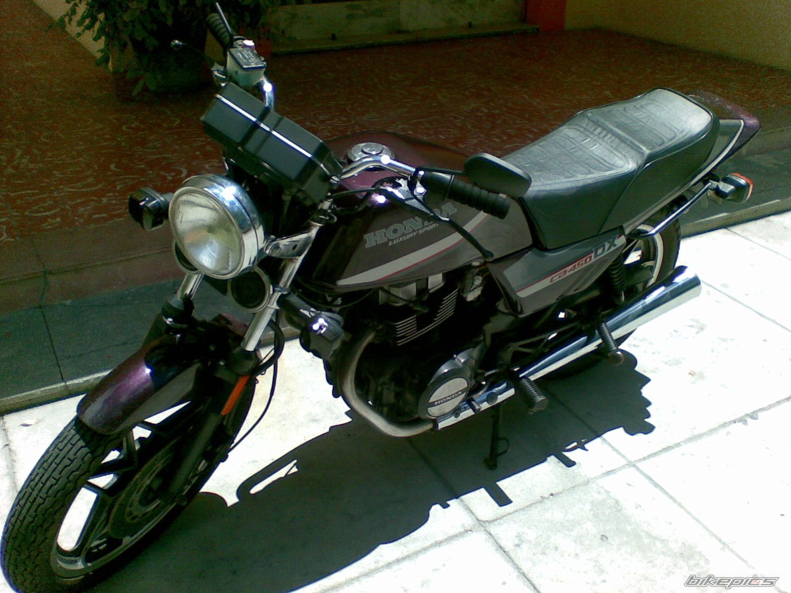 Photo 1296045
