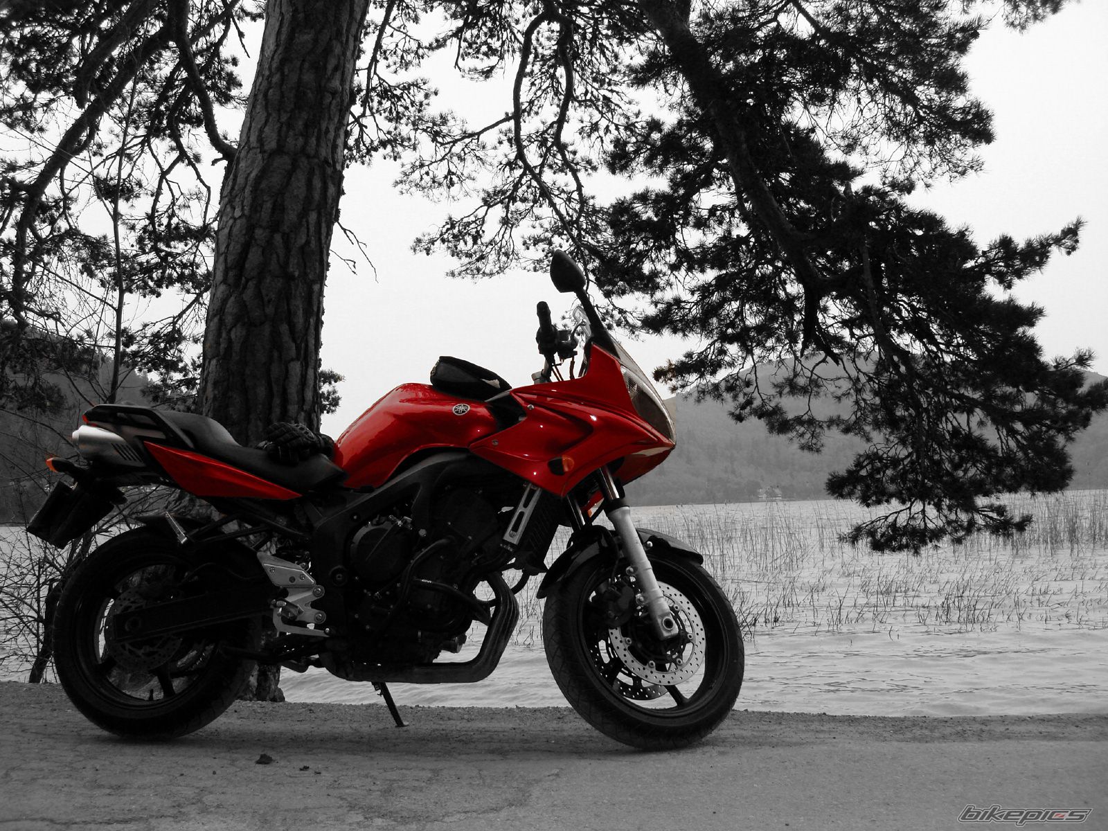 Photo 1296053