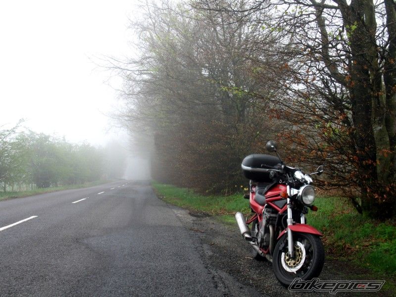 Photo 1296094