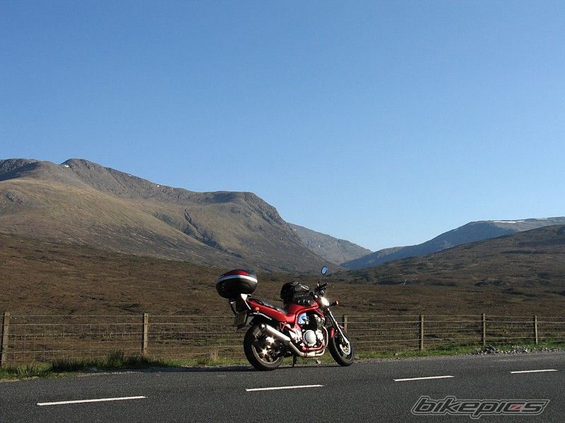 Photo 1296123