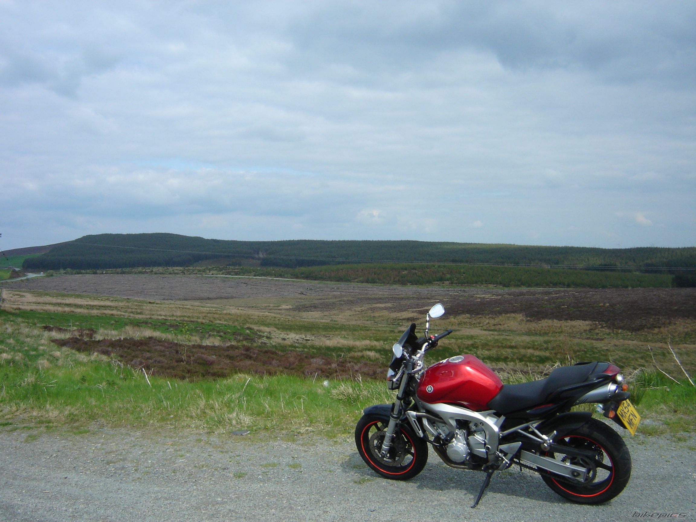 Bike Photo 1296134
