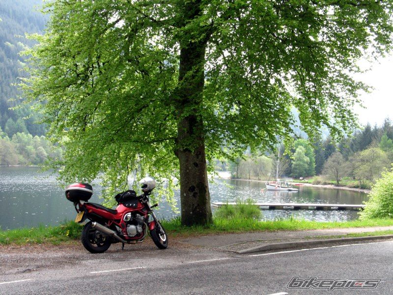 Photo 1296153