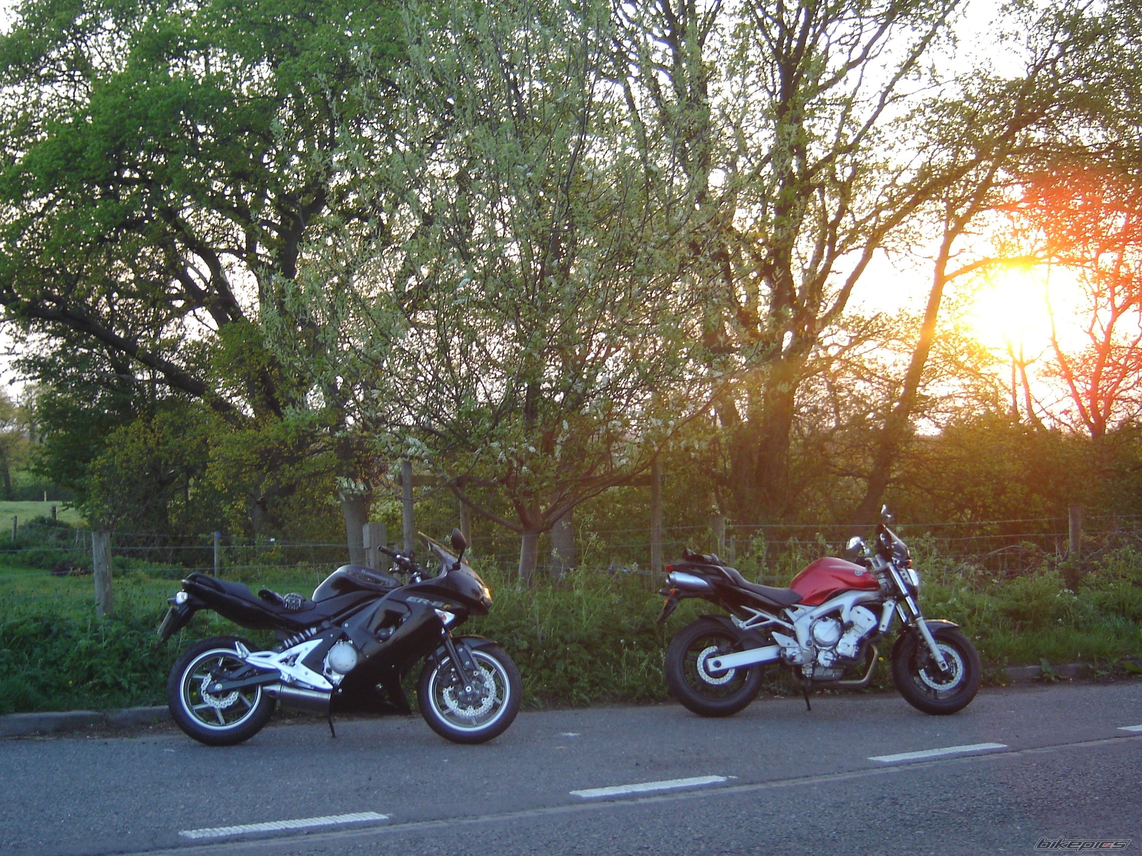 Bike Photo 1296162
