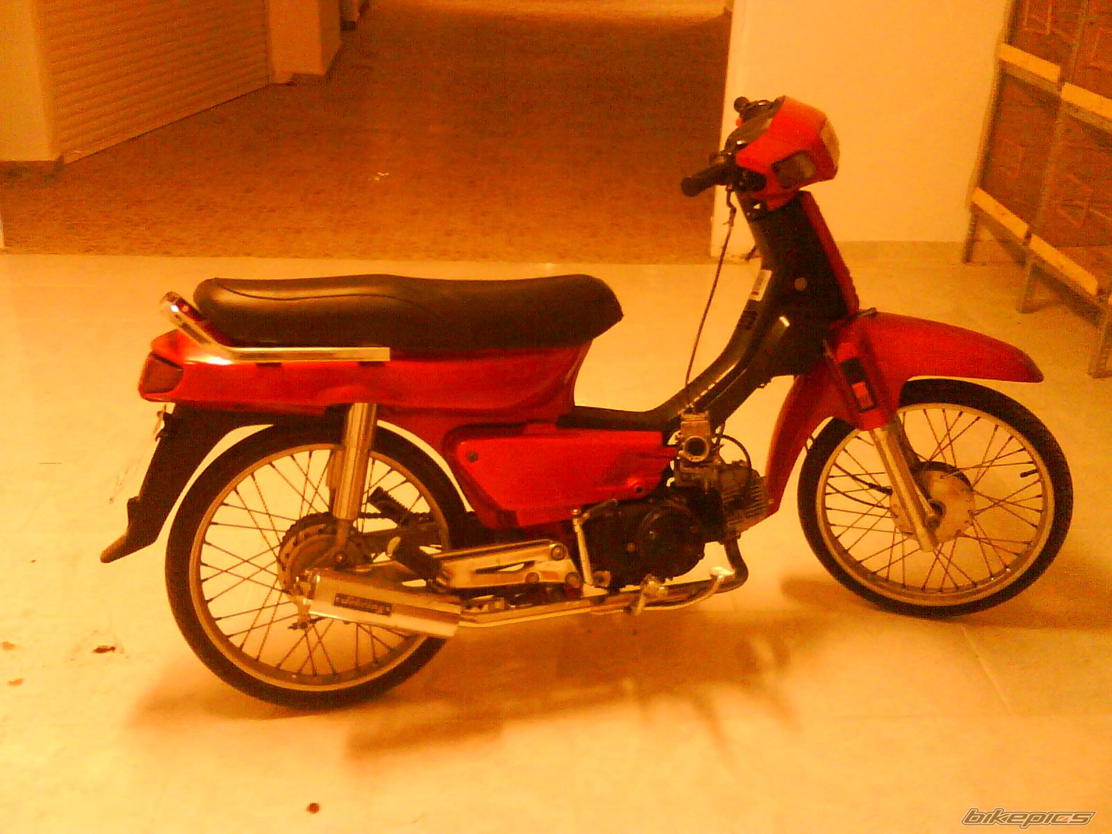 Photo 1296433